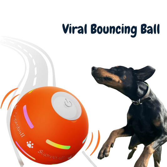 2025 Viral Bouncing Ball